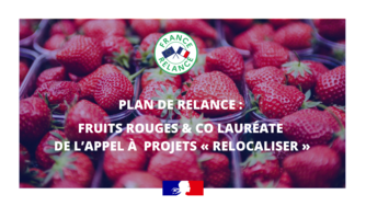 Plan de relance : Fruits Rouges & Co lauréate de l’appel à projets « Relocaliser »