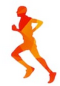 logo Sport1